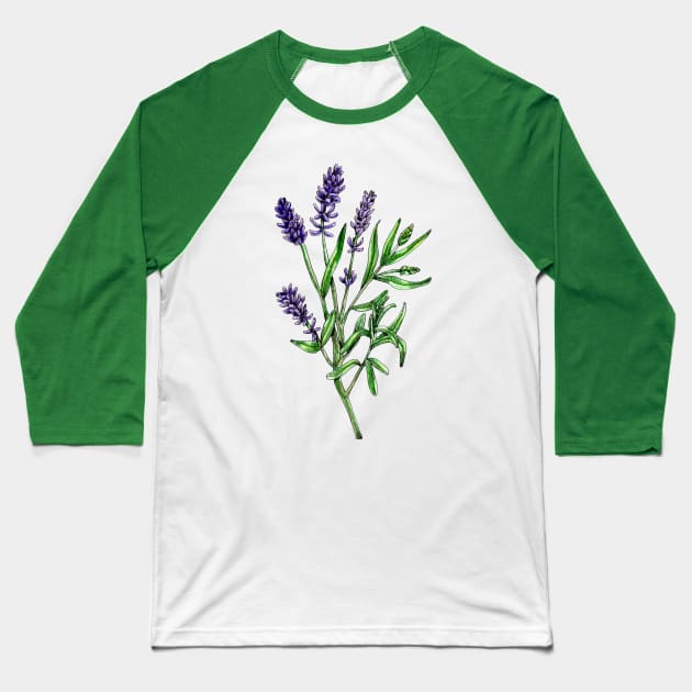 Real lavender, Lavandula angustifolia Baseball T-Shirt by voidea